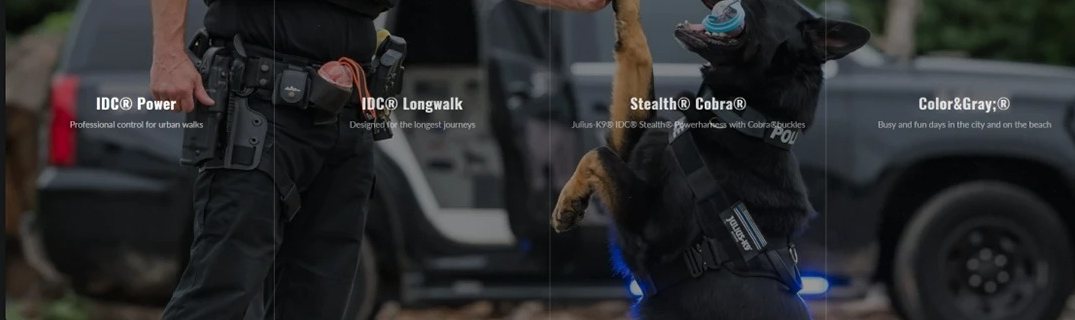 Faixa do site com as quatro linhas de produto: IDC Power, IDC Longwalk, Stealth Cobra e Color and Gray